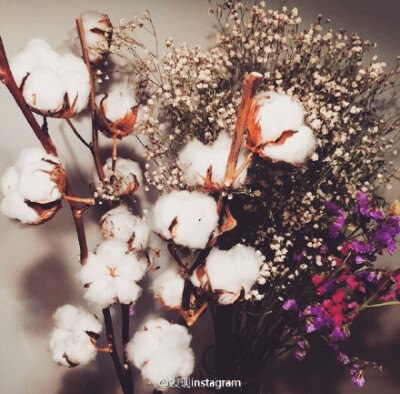 棉花的话语是：珍惜眼前人