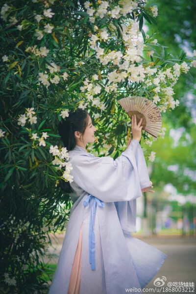 【夹竹桃】妾容似桃萼，郎心如竹枝，桃花有时谢，竹枝无时衰。春园灼灼自颜色，愿言岁晚长相随。摄影@栗盐