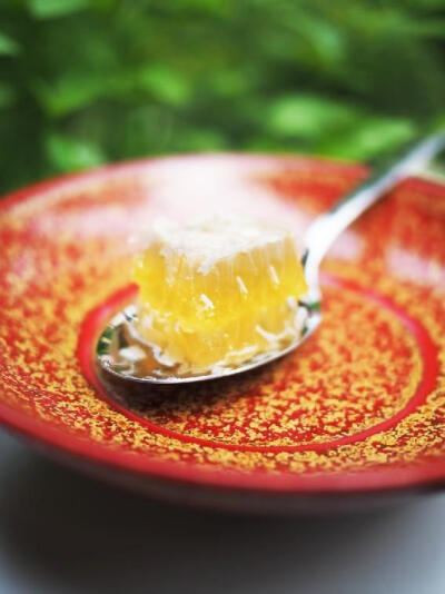 野生蜂巢蜜 纯天然 土蜂蜜 农家自产 无添加