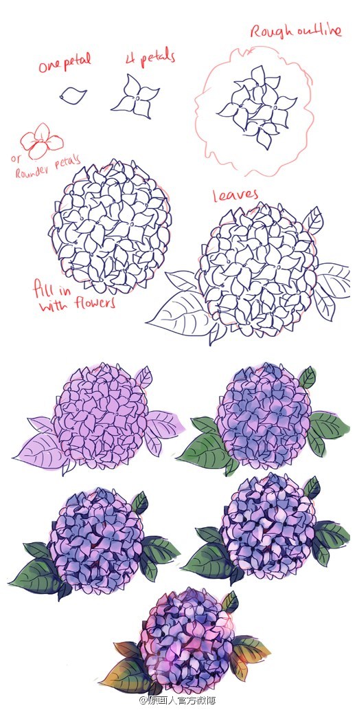 紫阳花的画法