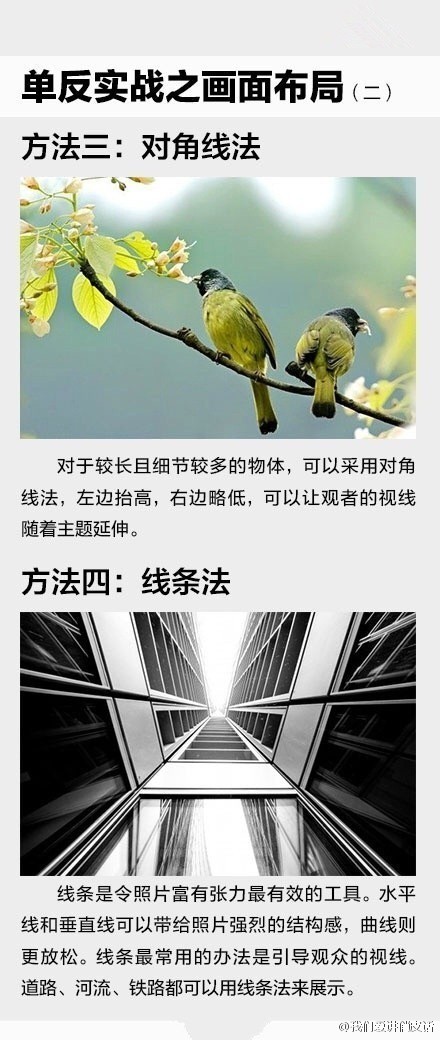 听说你有个单反，但是还不太会用？