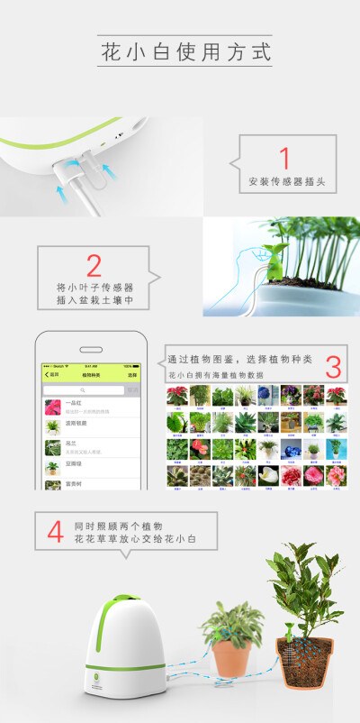 无论你是厌倦了钢筋水泥墙身在北上广深却心在田园的精神自由派，还是渴望自然的重度城市癌患者，亦或者是尝试用植物改造生活却无疾而终的都市白领。从今天起给生活做减法，养一盆植物，遇见花小白，它将带给你那份渴…