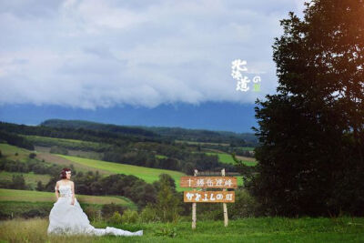 NO.8 北海道 标签：田园、风光 北海道（Hokkaido），是日本47个都道府县中唯一的道，也是日本第二大岛。被称为东方的普罗旺斯。田园似的风光美不胜收。