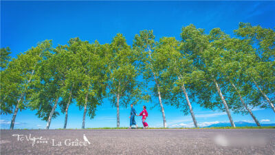 NO.8 北海道 标签：田园、风光 北海道（Hokkaido），是日本47个都道府县中唯一的道，也是日本第二大岛。被称为东方的普罗旺斯。田园似的风光美不胜收。