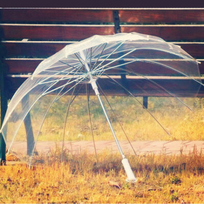 骨透明雨伞长柄伞