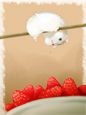 超萌小仓鼠~~我的心都萌化了源自网络