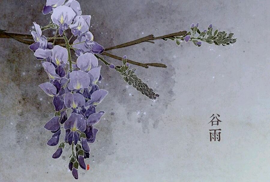 水彩24节气谷雨