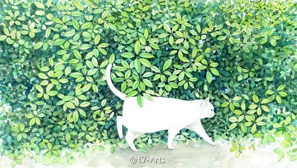 猫