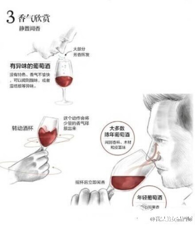 【九张图为你完全解析葡萄酒品尝的知识】完美！！