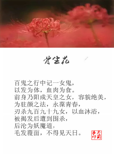 适合中元节听的九首鬼魅古风歌曲~