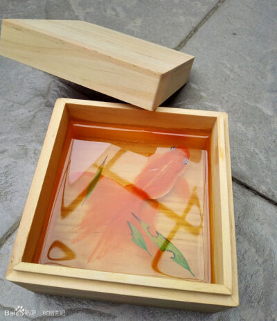 树脂画是日本艺术家深堀隆介发明的立体绘画法。树脂画看起来特别逼真，由于逐层绘画，更有层次感，仿佛在水中游动的鱼定格在那一刻。看起来更加立体。