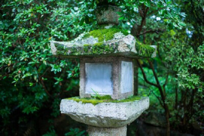 镜头下的日本：台风中的京都，宇治川&amp;amp;平等院。 摄影by 游侠与夜莺 （@游侠与夜莺 ）