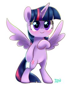 Twilight sparkle（紫悦\暮光闪闪）