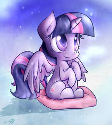 Twilight sparkle（紫悦\暮光闪闪）