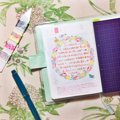 花草控的hobonichi❀❀❀