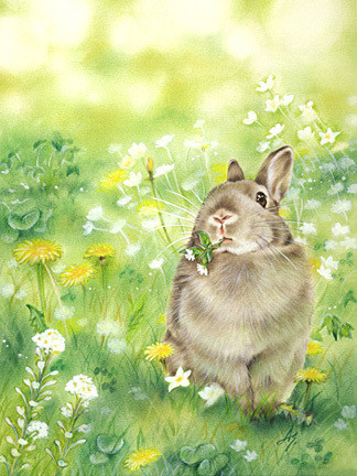 #飞乐鸟分享#日本画家Akiko Shirato，善用色铅笔及水彩作画。春风十里，兔子们嗅着春天的气味醒来，漫步自然。画家官网：O网页链接