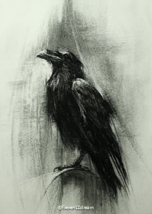 鸦lindseykustusch