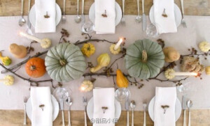 “秋实”大爬梯，如法炮制摆起来～～～