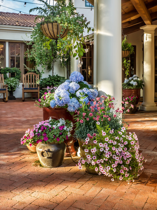 Colorful Pots