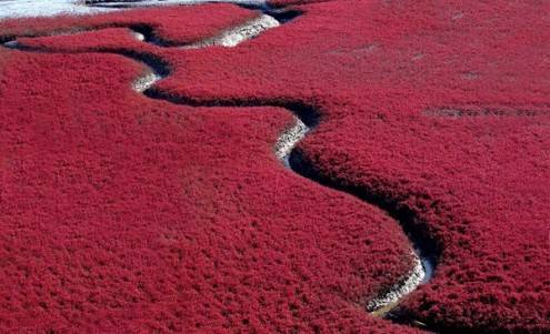 red-beach