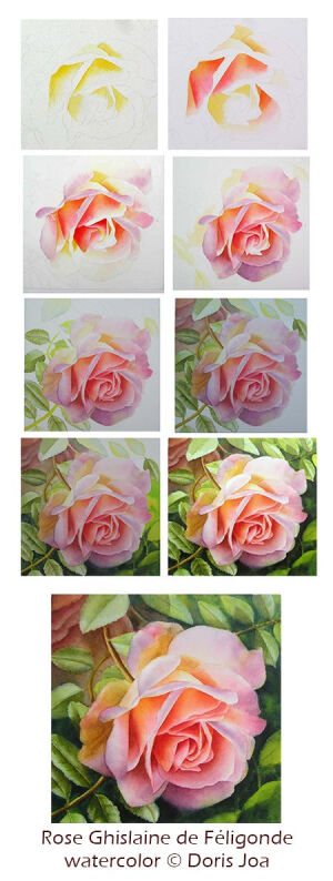 Watercolor Lessons - Paint a Rose - Free Demonstration by Doris Joa: