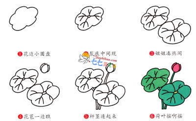 荷花简笔画_【七七简笔画】