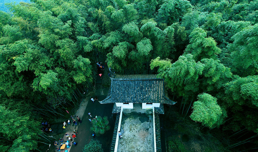 赤水竹海