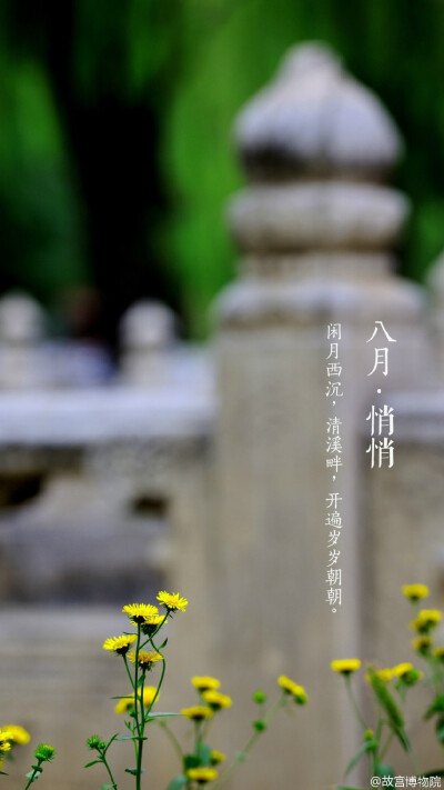 闲月西沉，清溪畔，开遍岁岁朝朝#紫禁城岁时#悄悄的，寿康宫的梨树结了满树的梨子，火红的石榴花变成了饱满的石榴，大大的枣子缀满了枝头……槐花因一场大雨铺满了地，爬山虎奋力地够到了夏天的尾巴……就这样，秋天…