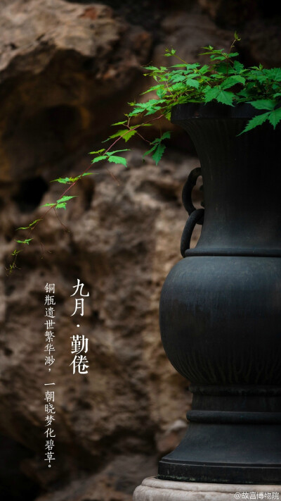 铜瓶遗世繁华渺，一朝晓梦化碧草。#紫禁城岁时#宁寿宫花园的第四进院落，空落幽寂。院中树影婆娑，山石耸峙，碧螺亭带梅婉然而立，气氛恬淡。甫入符望阁，满眼尽是江南工艺的热烈；转到竹香馆，倏忽又清心静气。夏尽…