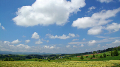 1920×1080北海道天堂-北海道的郊野:北海道郊外田园壁纸