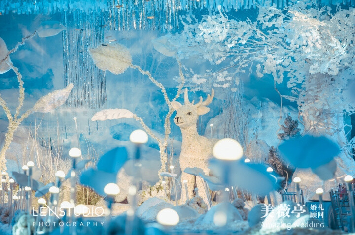 明星印小天婚礼，美薇亭，冰雪奇缘，冰雪主题，丝带，唯美婚礼