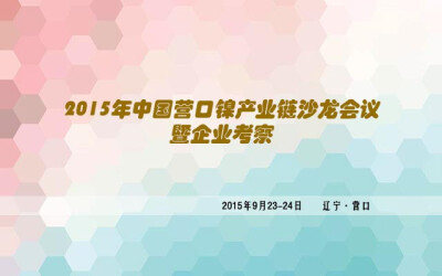 2015中国营口镍产业链沙龙会议