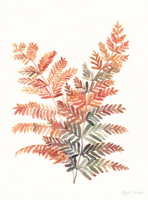 all-things-bright-and-beyootiful: Autumn Fern by United Thread