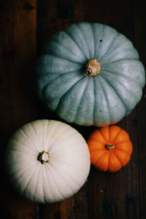 freepeople: The pumpkin DIY you’ve just got to try.