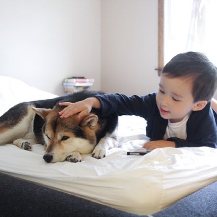 日本混血小男孩Issa和他的柴犬Maru，满满都是爱