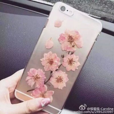 苹果6手机壳日系复古干花朵名媛风真花iphone6 plus手机套文艺女