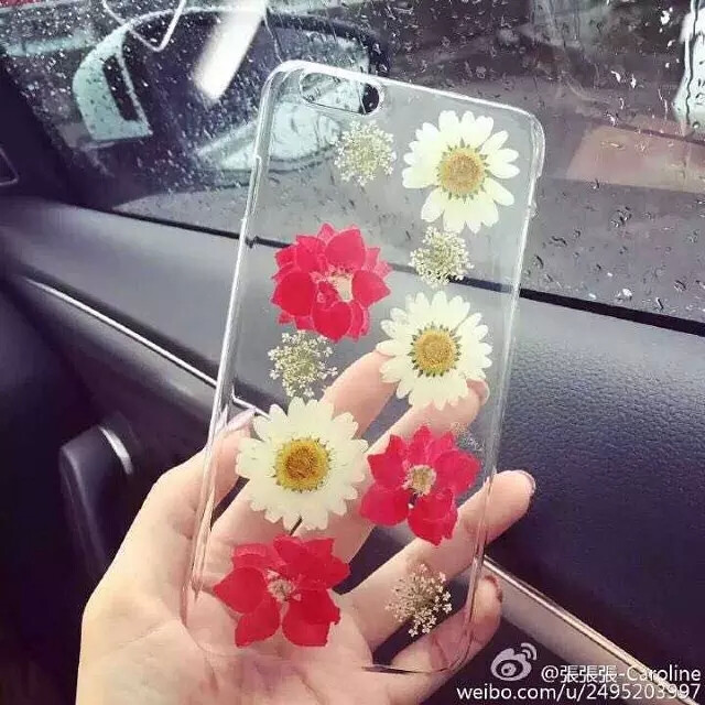 苹果6手机壳日系复古干花朵名媛风真花iphone6 plus手机套文艺女