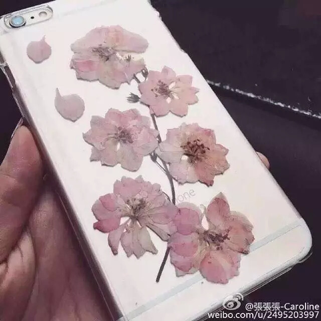 苹果6手机壳日系复古干花朵名媛风真花iphone6 plus手机套文艺女