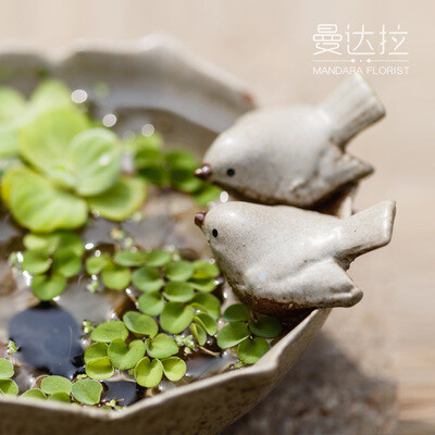 曼达拉的花园《嬉水》微景观生态盆栽陶瓷小鸟水培植物中秋礼物
