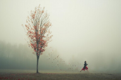 Lizzy Gadd-一个人的旅行