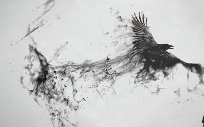 General 2560x1600 digital art photo manipulation monochrome bird animals raven