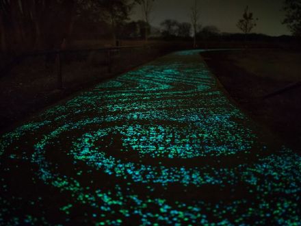 荷兰建造的世界首条夜光自行车道，梵高的星夜铺路。繁星洒满地，单车悠然过，感觉美哭~