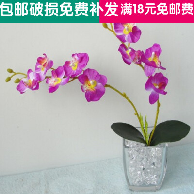 花蝴蝶兰盆栽高仿花套装 餐桌摆放花假花绢花