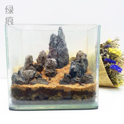 包邮 绿痕 苔藓微景观 DIY 沙流 15cm 办公室 创意景观 生日礼物