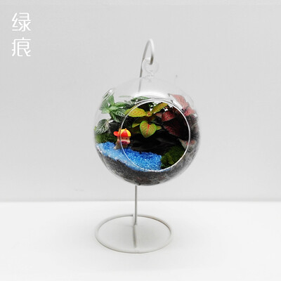 绿痕 微景观 DIY 包邮 童真 13cm 苔藓生态吊瓶 办公室 创意盆栽