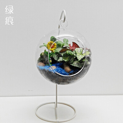 绿痕 微景观 DIY 包邮 追寻 13cm 苔藓生态吊瓶 办公室 创意盆栽