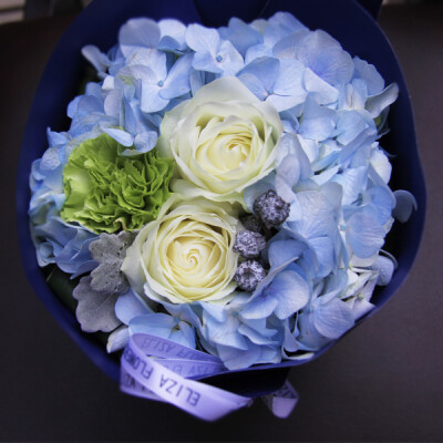 ELIZA 上海静安花店蓝色绣球花高雅精致迷你小盆教师节鲜花礼物