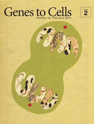 Two sets of segregated chromatids during telophase are depicted as cats cuddled up comfortably beside spindle poles.（有丝分裂末期，两组分开的染色体被描绘成在纺锤体两极惬意偎睡的猫咪。）