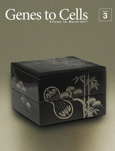 A designed family emblem of cell division blends well with traditional Japanese patterns of auspicious omens motifs as pine and bamboo, on the artwork of tiered food boxes in silver lacquer.（细胞分裂与融合的图案和日本传统吉祥图案松树与竹子被当做族徽设计在多层银漆食奁上。）