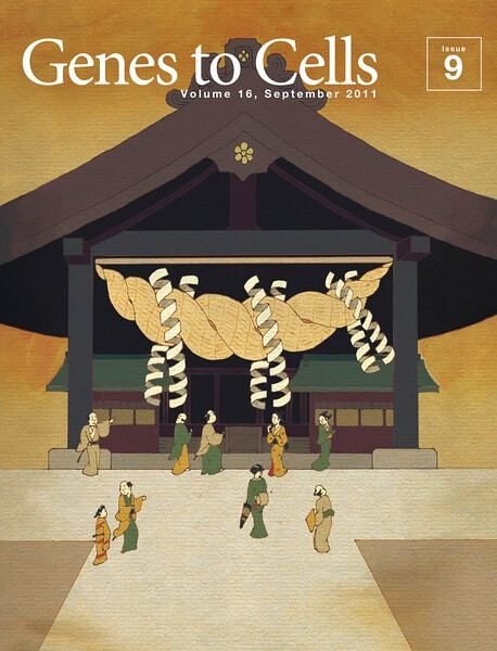 A huge and prestigious shrine that looks like Izumo-Taisha shrine at a glance. White zigzag paper streamers like a leucine zipper-type transcription factor are tucked in a giant sacred rope (dextrorotatory double-helix). The paper streamers probably bind to specific sequences of dsDNA expressed as a